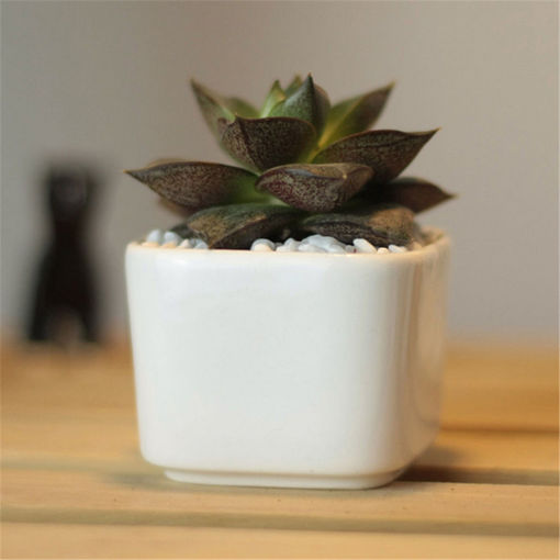 Immagine di Outdoor White Ceramic Planter Mini Flower Pot Succulent Plants Square Garden Patio Desk Decor