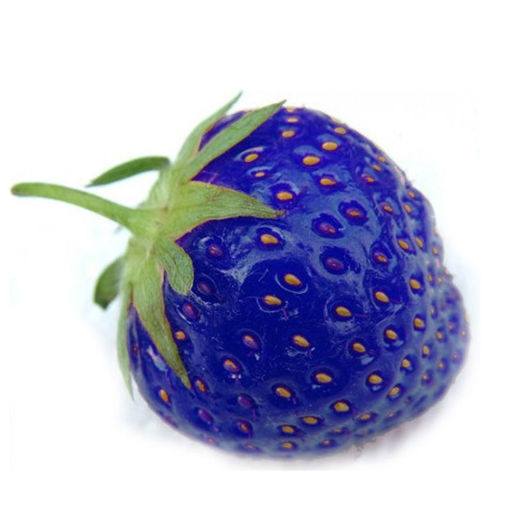Picture of 500Pcs Blue Strawberry Rare Fruit Vegetable Seeds Bonsai Edible Garden Climbing Plant