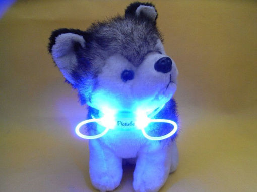 Picture of Colorful LED Pet Dog Collar Chain Luminous Light LED Dog Cat Night Light Collar