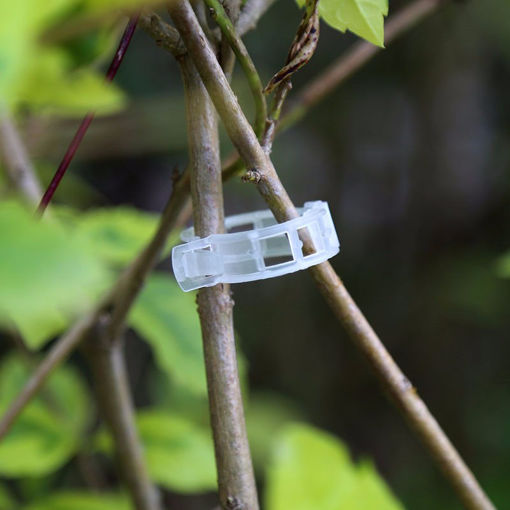 Immagine di Honana HG-GT1 100Pcs Plant Clip Tomato Vines Bush Vegetable Clip Branch Durable Plastic Sling Clips